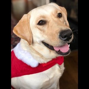 Meet your Posher, Jane